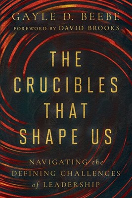 The Crucibles That Shape Us (Hardback)