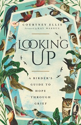 Looking Up (Paperback)