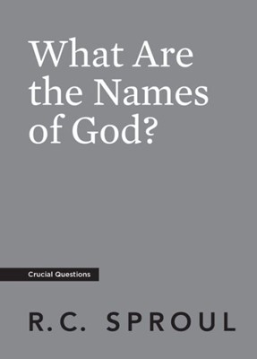 What Are the Names of God? (Paperback)