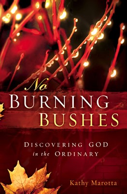 No Burning Bushes (Hard Cover)