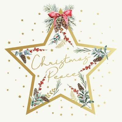 Tearfund - Christmas Star - Pack Of 10 (Cards)