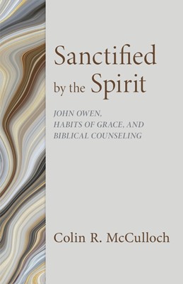 Sanctified by the Spirit (Paperback)