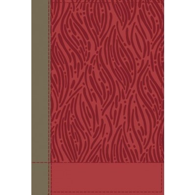 NKJV Faithlife Illustrated Study Bible, Pink, Red Letter Ed. (Imitation Leather)