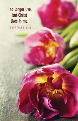 Christ Lives in Me Spring Bulletin (Pkg of 50) (Bulletin)