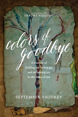 Colors Of Goodbye (Paperback)