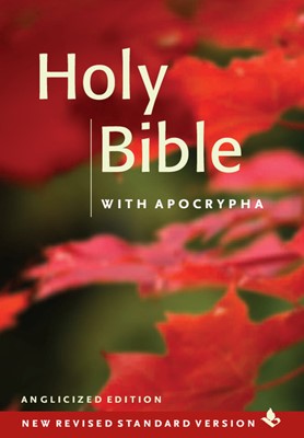 NRSV Popular Text Bible With Apocrypha (Pack Of 20) (Hard Cover)