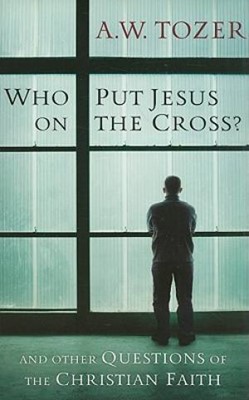 Who Put Jesus On The Cross? (Paperback)