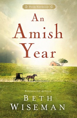 An Amish Year (Paperback)