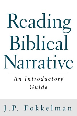 Reading Biblical Narrative (Paperback)