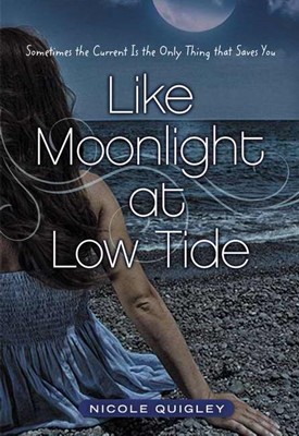 Like Moonlight at Low Tide (Paperback)
