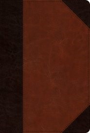 ESV Large Print Compact Bible (TruTone, Brown/Cordovan, Port (Imitation Leather)