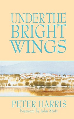Under the Bright Wings (Paperback)