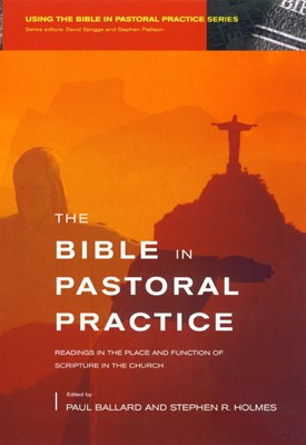 Bible in Pastoral Practice (Paperback)