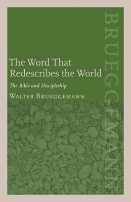 The Word That Redescribes The World (Paperback)