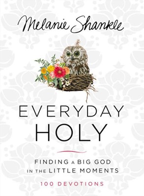 Everyday Holy (Hard Cover)
