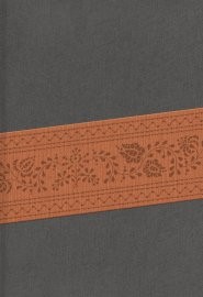 RVR 1960 Biblia Letra Grande Tamaño Manual, gris/marrón edic (Bonded Leather)
