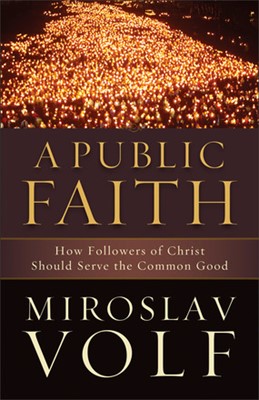 Public Faith, A H/b (Hard Cover)