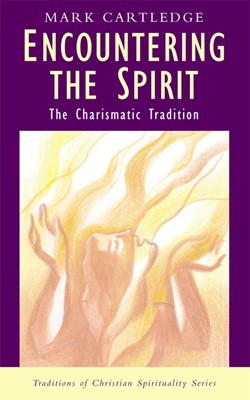 Encountering the Spirit (Paperback)