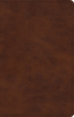 ESV Large Print Thinline Bible, TruTone, Deep Brown (Imitation Leather)