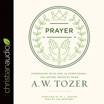 Prayer Audio Book (CD-Audio)