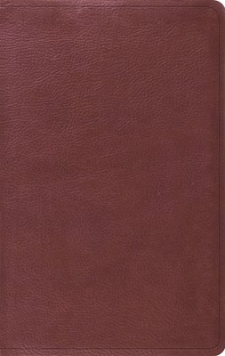 ESV Value Thinline Bible, Trutone, Burgundy (Imitation Leather)