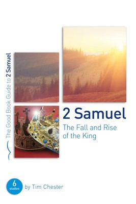 2 Samuel: The Fall and Rise of the King (Paperback)