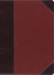 ESV MacArthur Study Bible, TruTone, Brown/Cordovan (Imitation Leather)