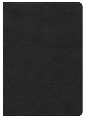 HCSB Large Print Compact Bible, Black Leathertouch (Imitation Leather)
