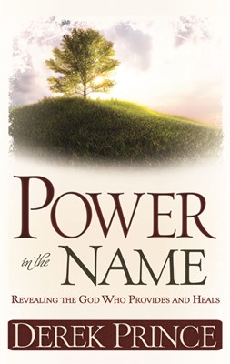 Power In The Name (Paperback)