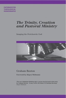 The Trinity, Creation and Pastoral Ministry (Paperback)