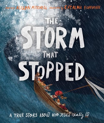 The Storm That Stopped (Hard Cover)