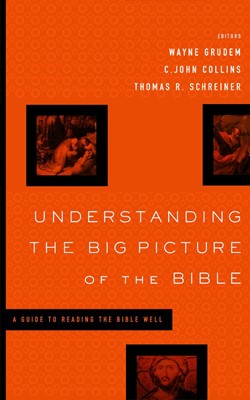 Understanding The Big Picture Of The Bible (Paperback)