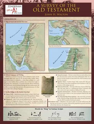 Survey Of The Old Testament Laminated Sheet, A (Other Book Format)
