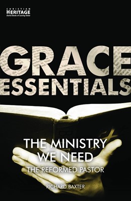 The Ministry We Need (Paperback)