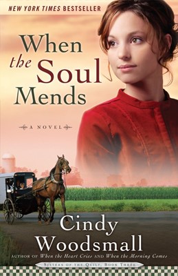 When The Soul Mends (Paperback)