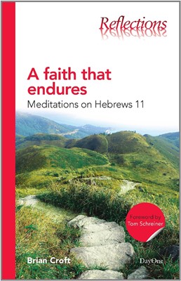 Faith That Endures, A (Paperback)