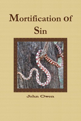 Mortification of Sin (Paperback)