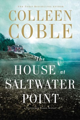 The House At Saltwater Point (Paperback)