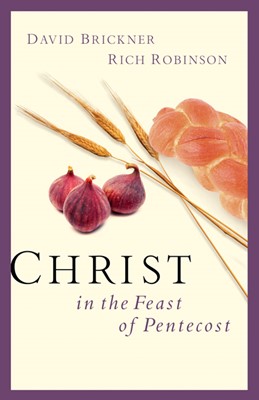 Christ in the Feast of Pentecost (Paperback)