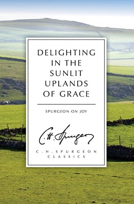 Delighting In The Sunlit Uplands Of Grace (Paperback)
