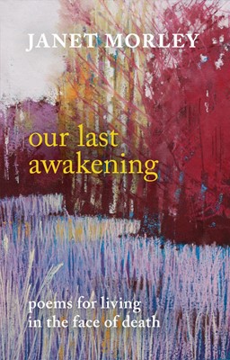 Our Last Awakening (Paperback)