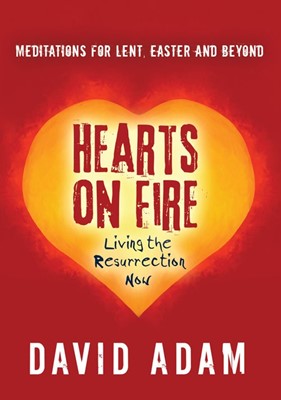 Hearts On Fire (Paperback)