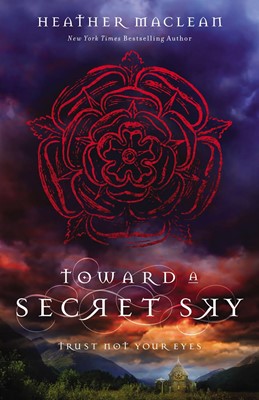 Toward A Secret Sky (Paperback)