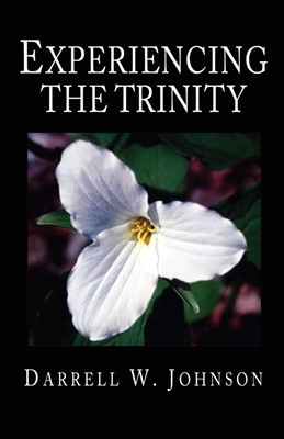 Experiencing the Trinity (Paperback)