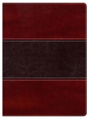 NKJV Holman Full Colour Study Bible Mahogany Leathertouch (Imitation Leather)