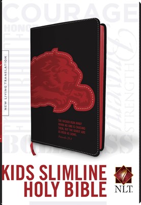 NLT Kids Slimline Bible (Imitation Leather)