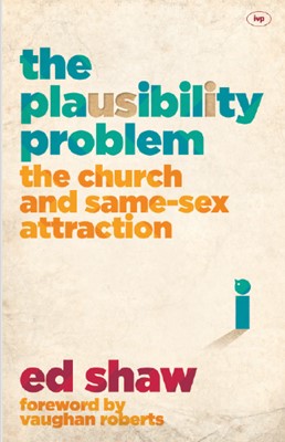 The Plausibility Problem (Paperback)