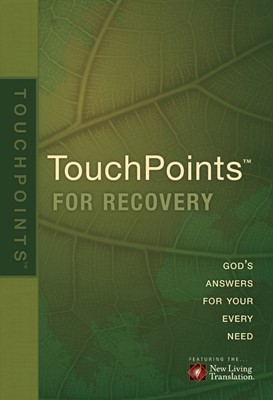Touchpoints for Recovery (Paperback)