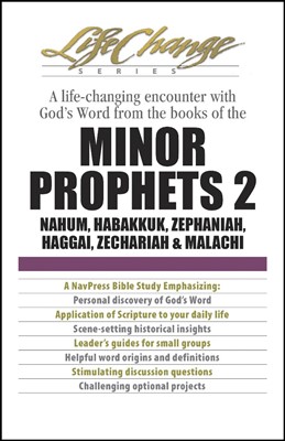Minor Prophets 2 (Paperback)