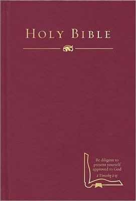 HCSB Drill Bible, Burgundy Hardcover (Hard Cover)